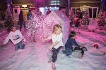 Winterland Carnival brings snow to the du Forum