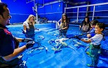 Get closer with Dubai Aquarium & Underwater Zoo's shark family with the all-new Shark Trainer experience