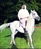 Bain Al Jisrain - Al Maqtaa to be renamed Rabdan after famous purebred Arabian horse and Ras Ghurab Island to be renamed Al Alya