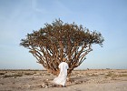 Amouage Prepares for First Frankincense Harvest at UNESCO World Heritage Site ‘Wadi Dawkah’ 